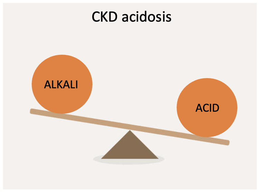 Acidosis and chronic kidney disease (CKD) - Chronic Kidney Disease ...